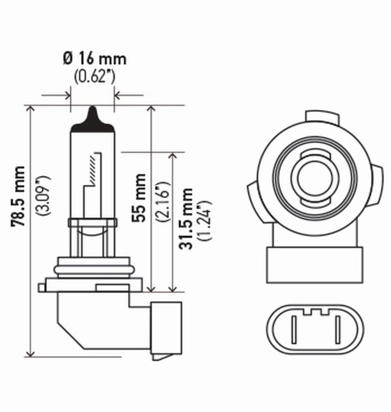 Hella Bulb H10/9145 12V 45W Py20D T4 (2)